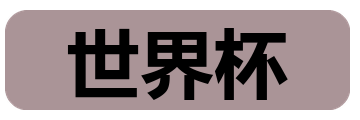 世界杯