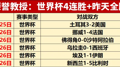 世界杯 114351